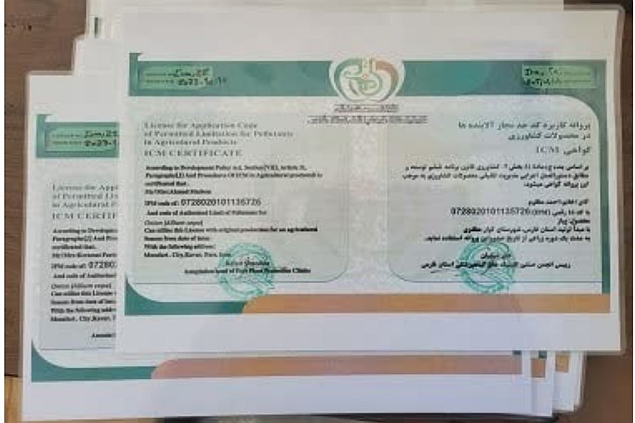 بیش از سه هزار تن پیاز گواهی شده در کوار تولید شد