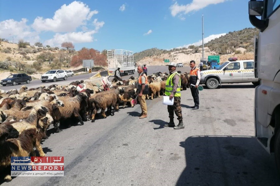 اصلی ترین عوامل تخریب مراتع با کوچ زودهنگام عشایر و دامداران