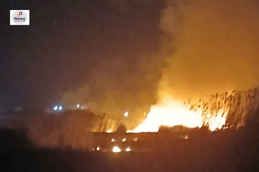 آتش‌سوزی نیزارهای تالاب هفت برم شیراز مهار شد