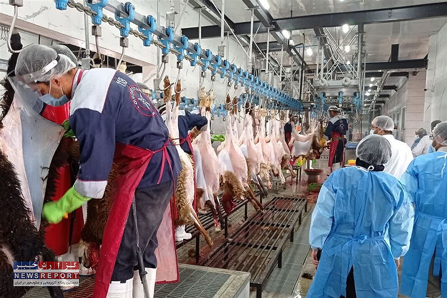 تأمین سلامت فرآورده‌های خام دامی ویژه اربعین؛ الزامات بهداشتی حمل و نقل به مقصد عراق