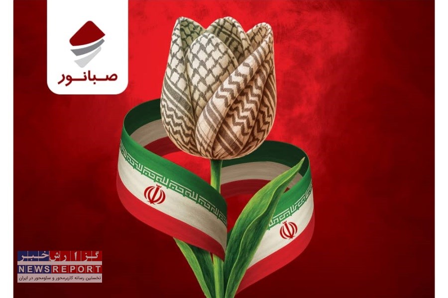 تصویر تأکید مدیرعامل صبانور بر نقش فرهنگ بسیجی در پیشبرد اهداف توسعه‌ای