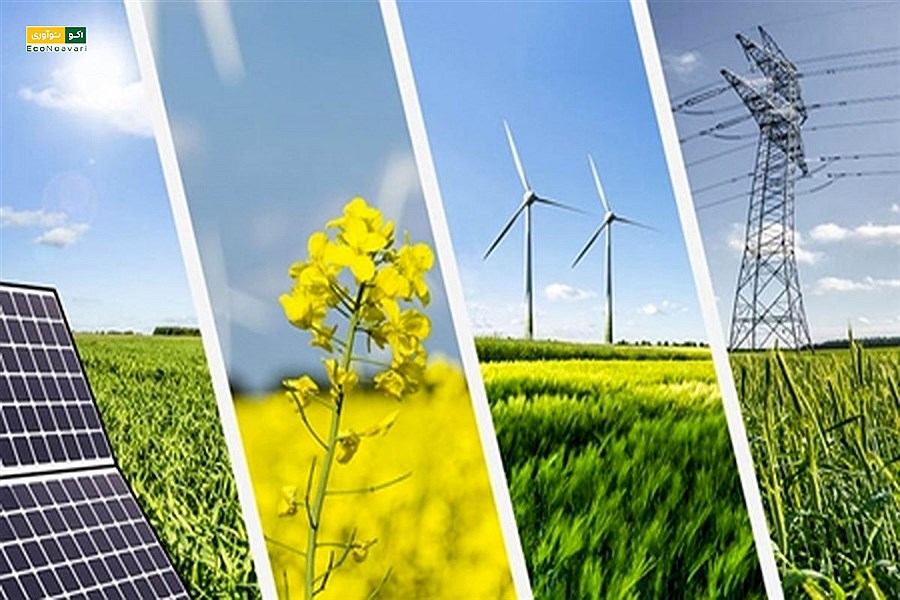 ایران و آلمان همکاری‌های تازه‌ای در حوزه صنعت سبز و انرژی‌های تجدیدپذیر آغاز کردند