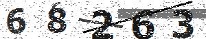 تصویر امنیتی
