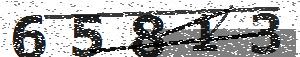 تصویر امنیتی